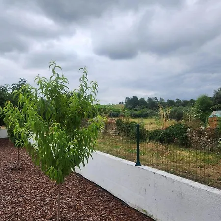 Casa Dos Olivais - Holiday home