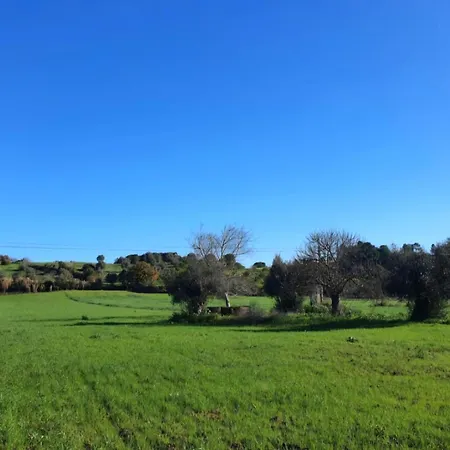 Hébergement de vacances Casa Dos Olivais -